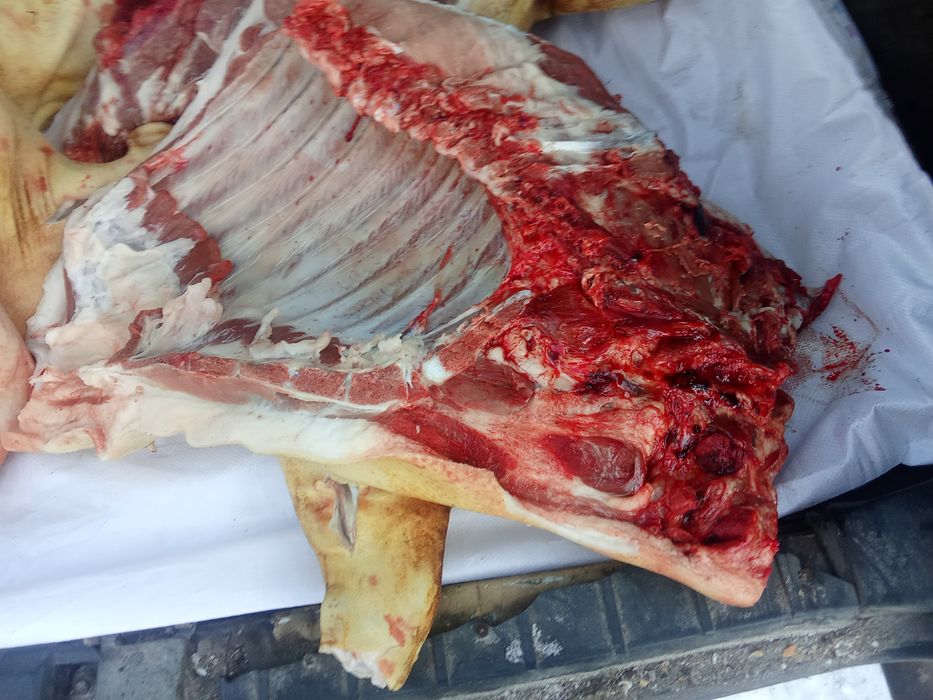 Мясо свинины свежие.