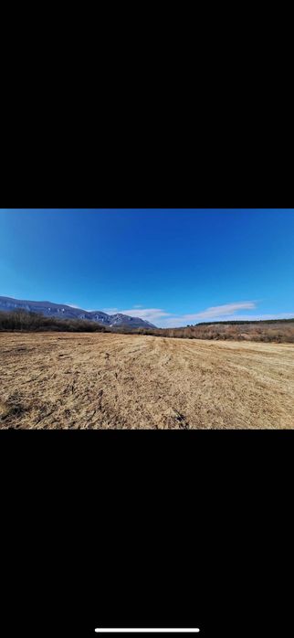 Услуги с Булдозер,Комбиниран багер и Мулчер.