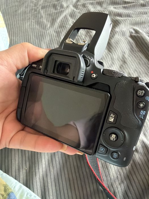 Canon EOS 250D + EF-S 18-55 IS STM