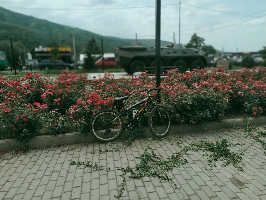 Велик без тормозов