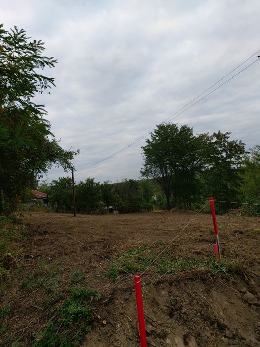 Косене на трева, поддръжка и почистване на тревни площи !