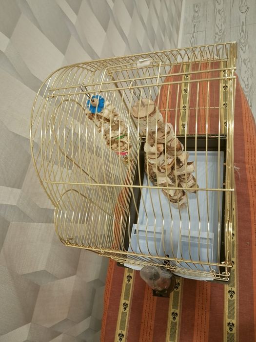 Клетка для попугая