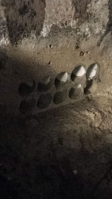 Алмазное бурение сверление