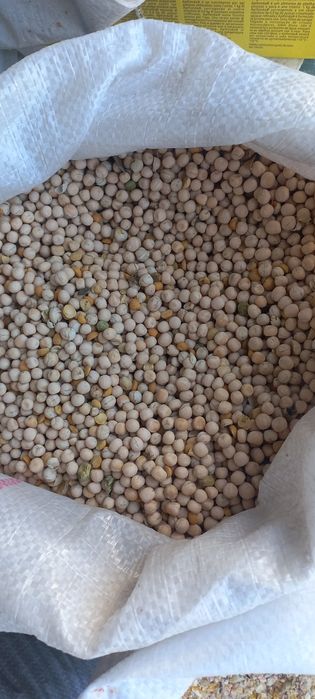 Mazare furajera 2lei ambalata