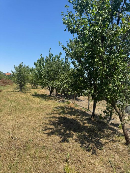 Casă de vânzare în Tulca, Bihor