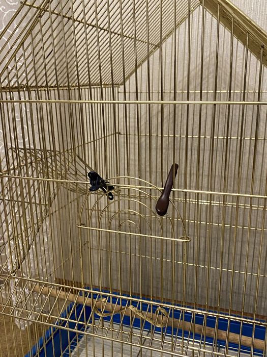 Продам огромную клетку (торг)