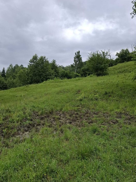 Teren extravilan, 11800 m2, comuna Agas, sat Preluci, jud Bacau