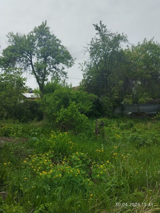 Продам дачу выше Каскелена