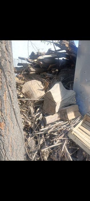 Дерево 50000тенге