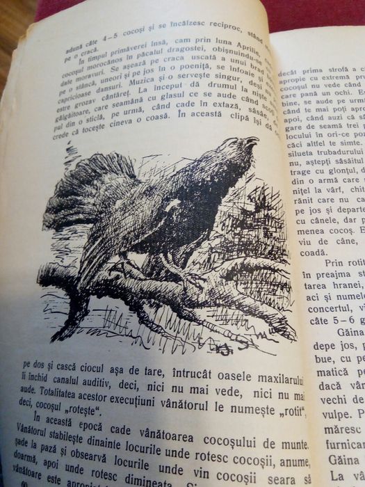 Carte veche ,,Despre vanatoare" C.A.V. Popescu 1936