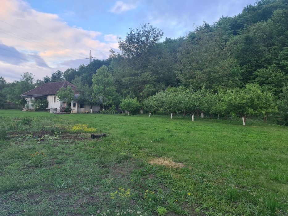 Vand casa cu gradina