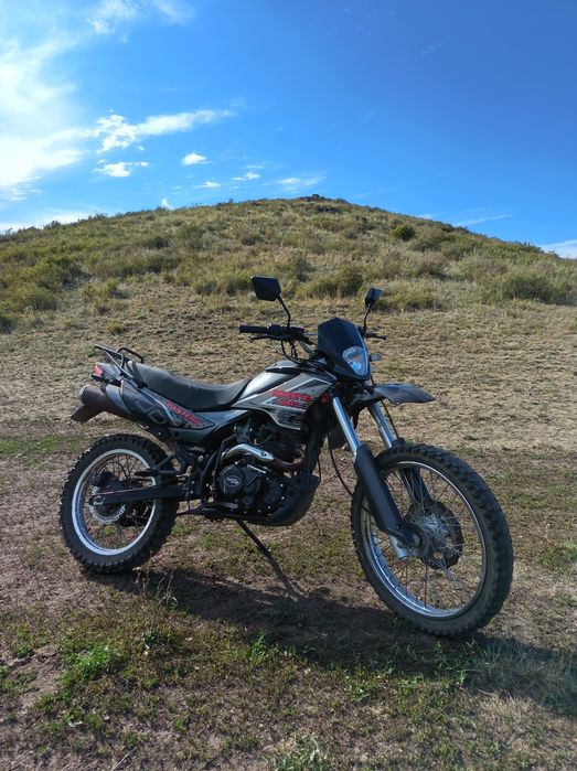 racer panther 300