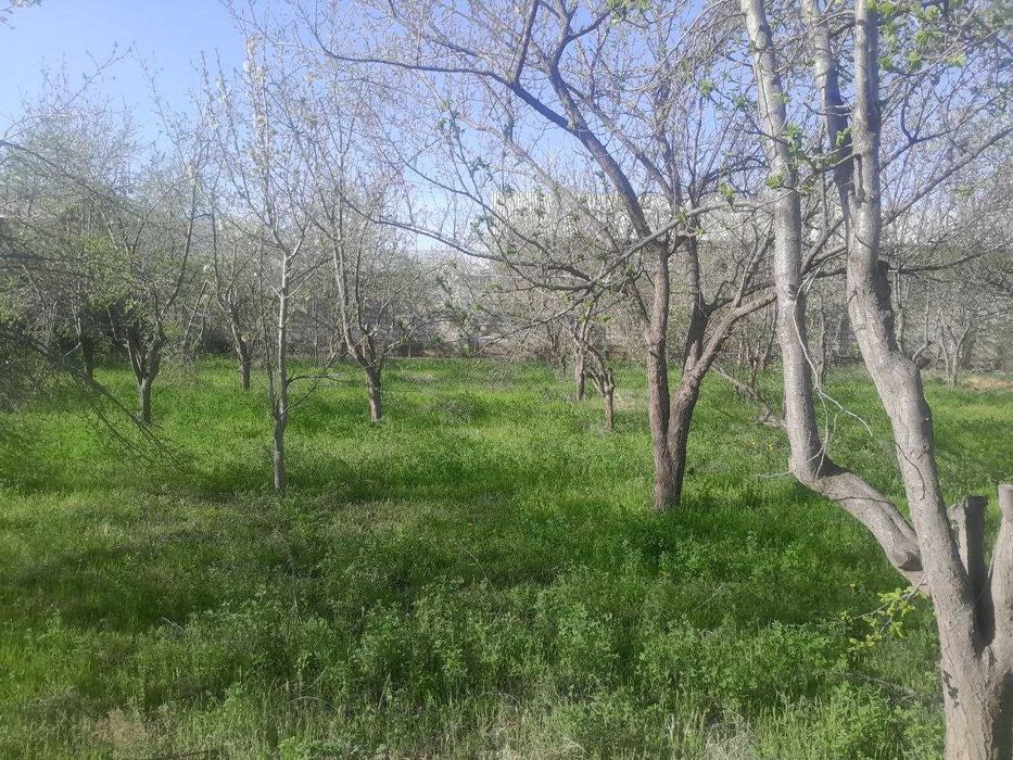 ЕР СОТИЛАДИ срочно келишамиз