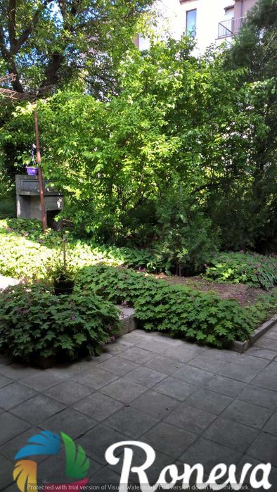 Продава се Етаж от къща в Варна, Бриз - 225 кв.м за 7 €/кв.м - Снимка #12