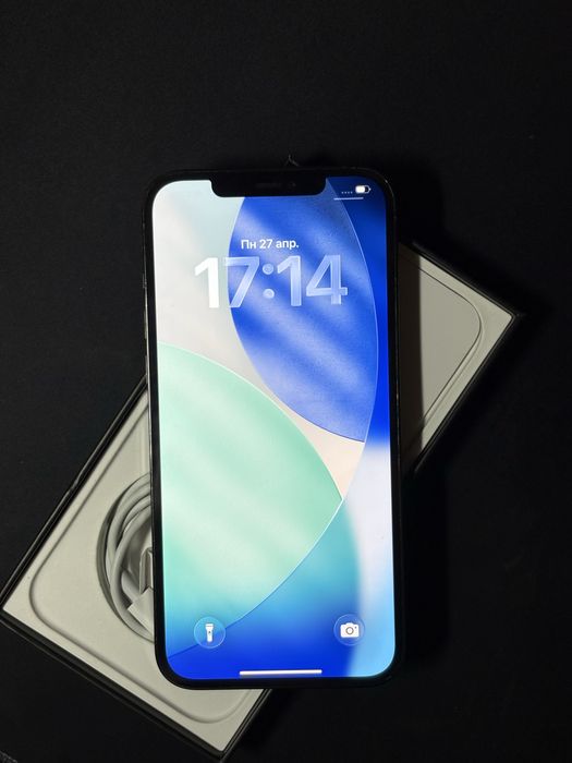 iPhone 12 Pro Max Graphite