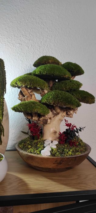 Бонсай със скандинавски мъх и стабилизирани растения!