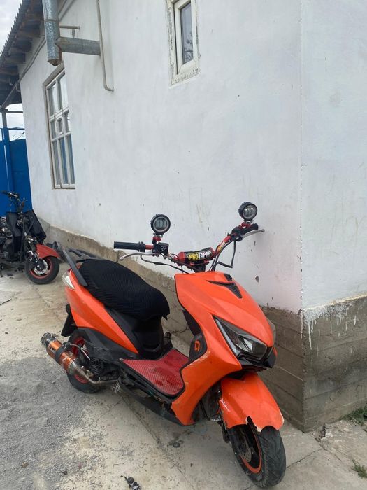 Легенда Red panda прошка сатылады