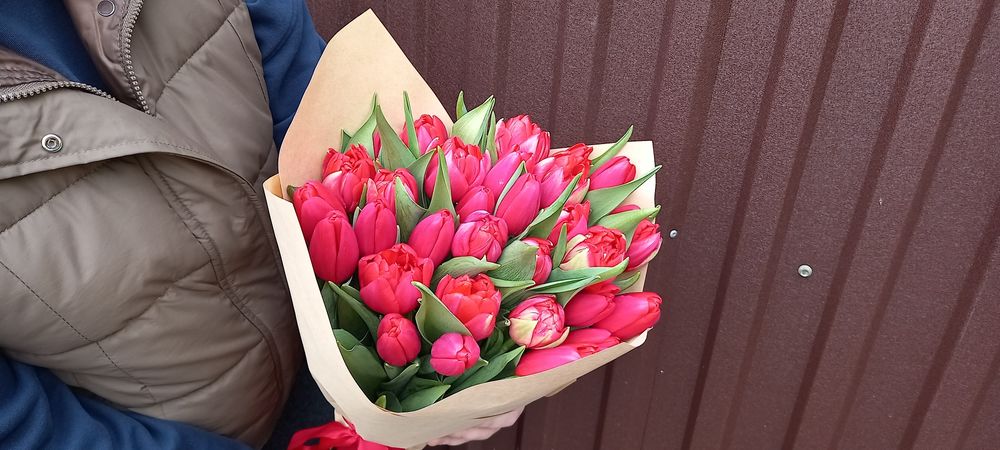 Тюльпаны на Восточке!