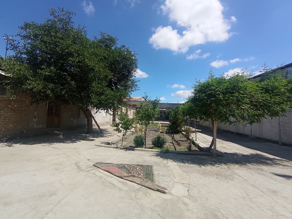 Uchastka sotiladi 14 sutiq ARENTR:KALXOZ BAZAR
