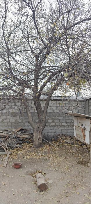 Продаётся посуда советских времён цена договорная