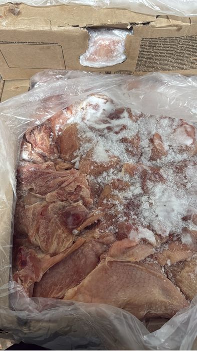 Мясо курицы оптом