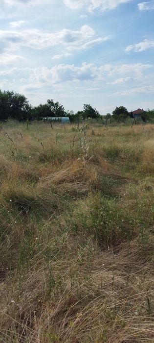 Урегулиран поземлен имот