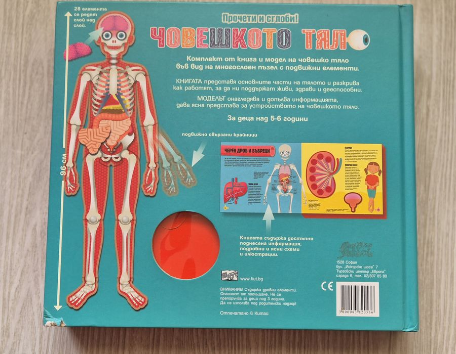 Прочети и сглоби! Човешкото тяло