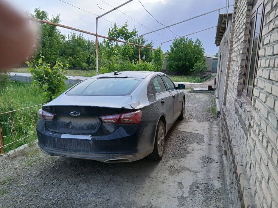 Малибо хл шот спафка