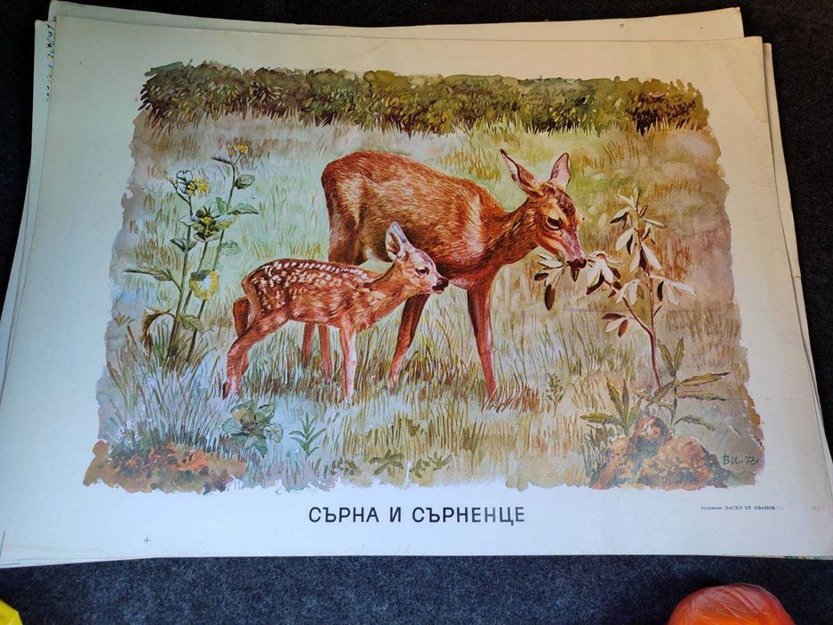 Стари училищни плакати