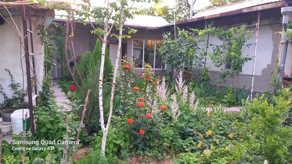 Дом 8 соток парк победы