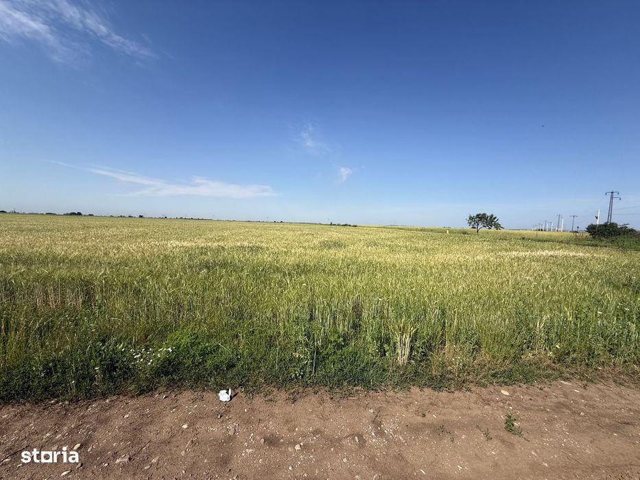 Teren 10 hectare pretabil pt panouri solare-Aricesti Rahtivani