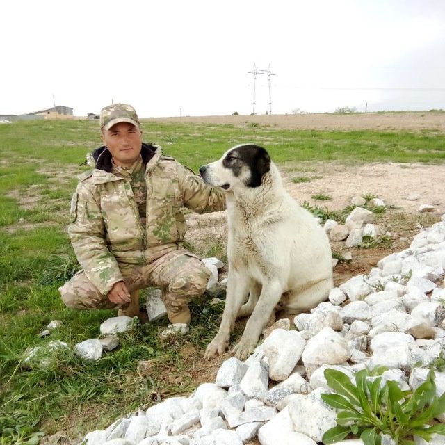 Электрик хизматини таклиф этаман. Музаффар