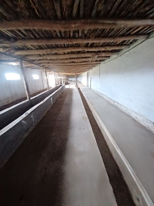 Тошкент Вилояти . Охонгоран  Тумани . Галакудук  ФЕРМА    2,7 Гектар .