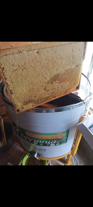 Продам свежий мед