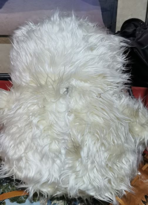Jucărie urs 45 cm