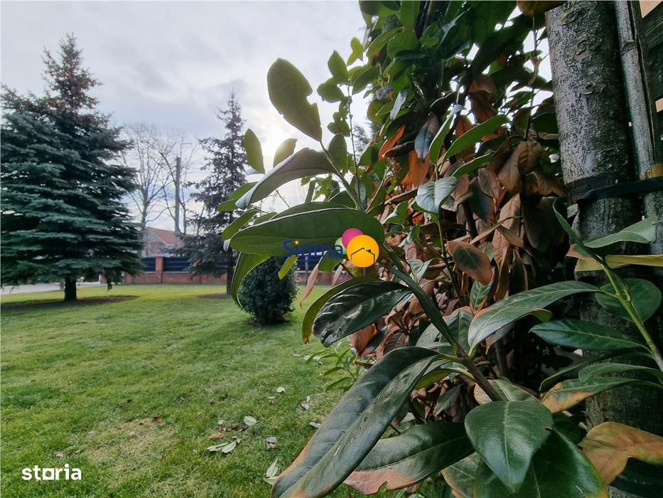 Vila Mediteraneană deosebită, amplasată într-o locație de vis, Bucium