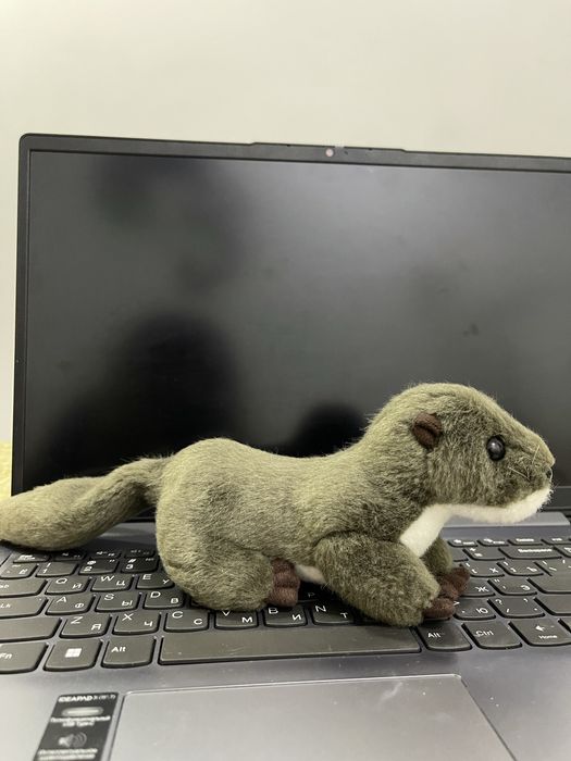 Мягкая игрушка выдра