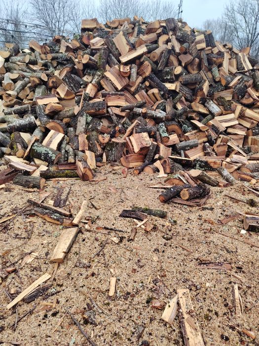Предлагаме дърва за огрев!