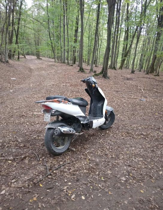 Vand kinco agiliti 50