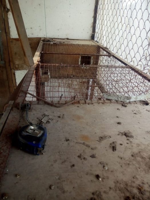 Клетки для кроликов