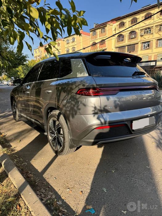 Byd song pro 2025 Rasmiy