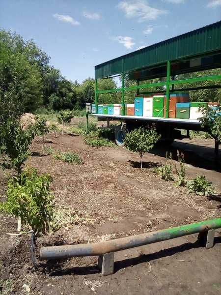 Улья, пчёл, , принадлежности. Алматы