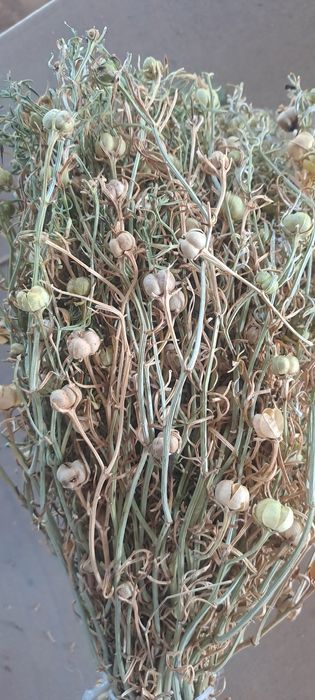 Адыраспан Арша Гармала Можжевельник