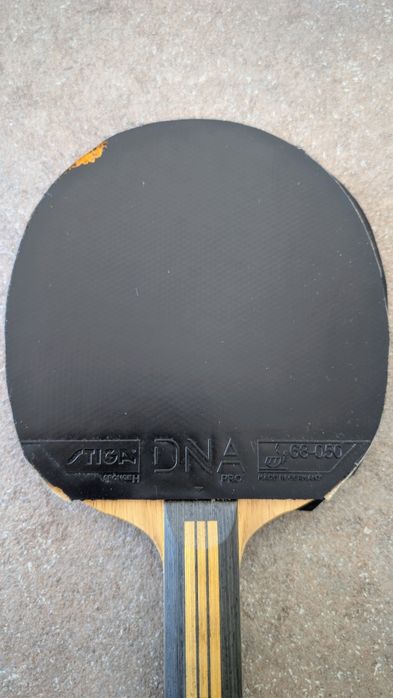 Nittaku Acoustic Carbon Inner G-Revision + Stiga DNA Pro