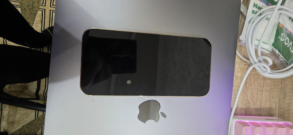 Iphone 12 Pro Max 256 Gb