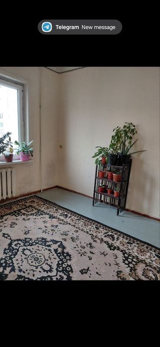Kvartira shefikchilikga