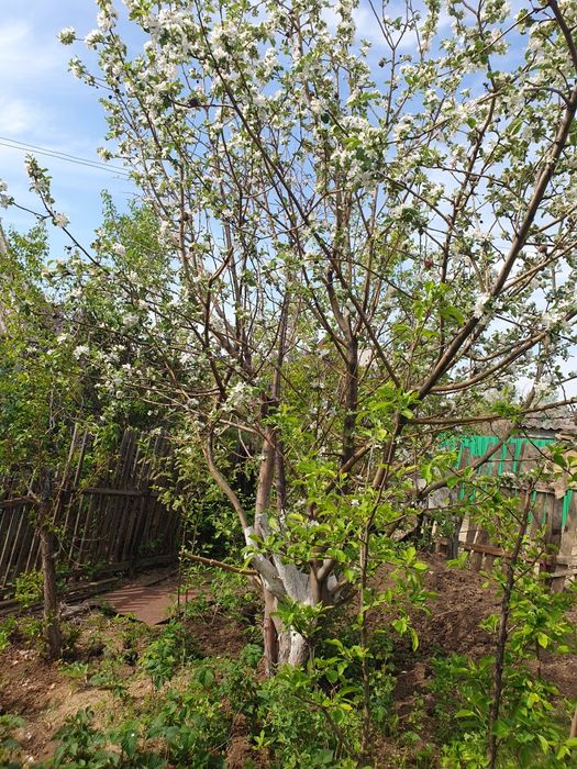 Продам Дачу на Спутнике