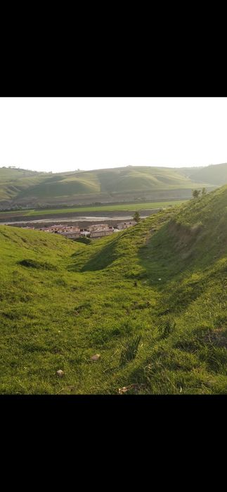 Шинамгина уй зудлик билан сотилади