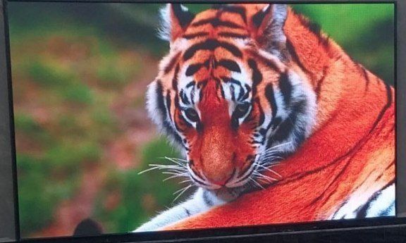 Led ekran o'rnatish xizmati