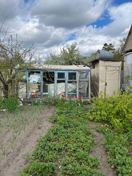 СРОЧНО Продам Дачу, на Белом ,сад.общество Сансевьера